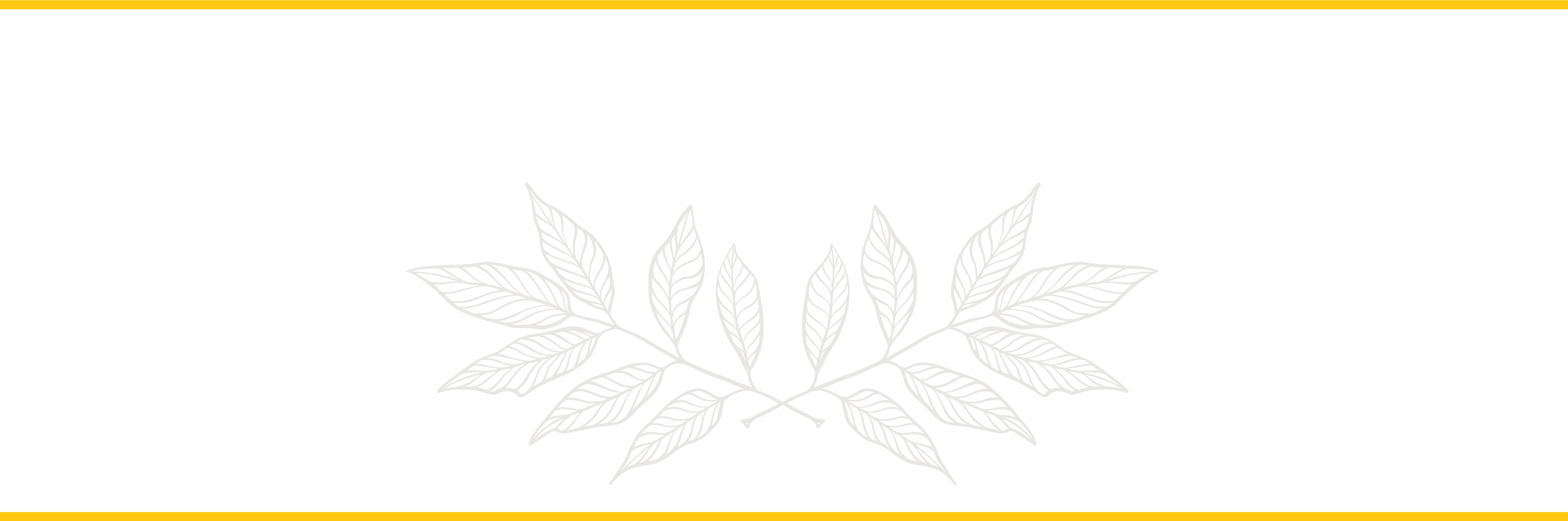two gold lines with a white background and a two faint gray tree branches