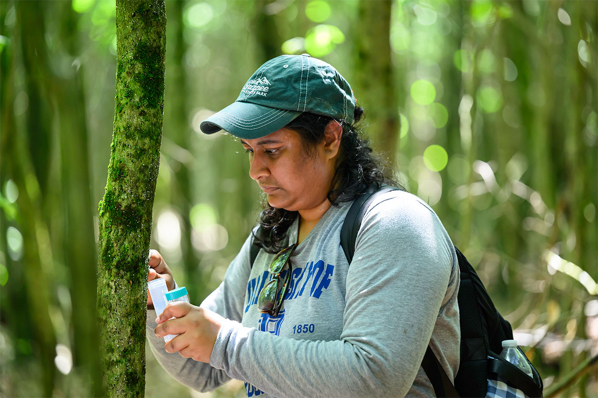 Nilima Walunjkar in the field conducting research - trees/forest