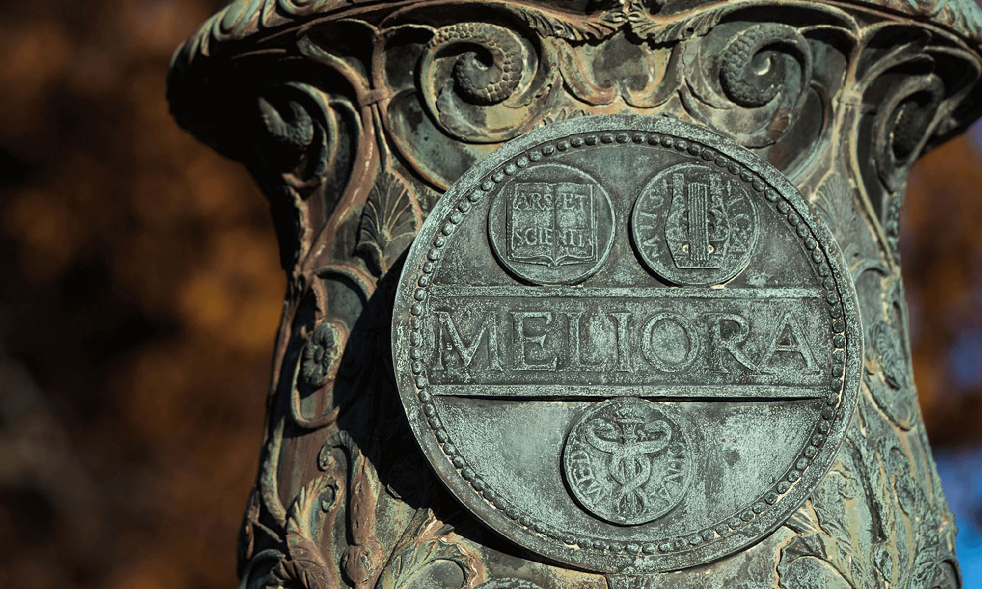 meliora flagpole with symbol on it