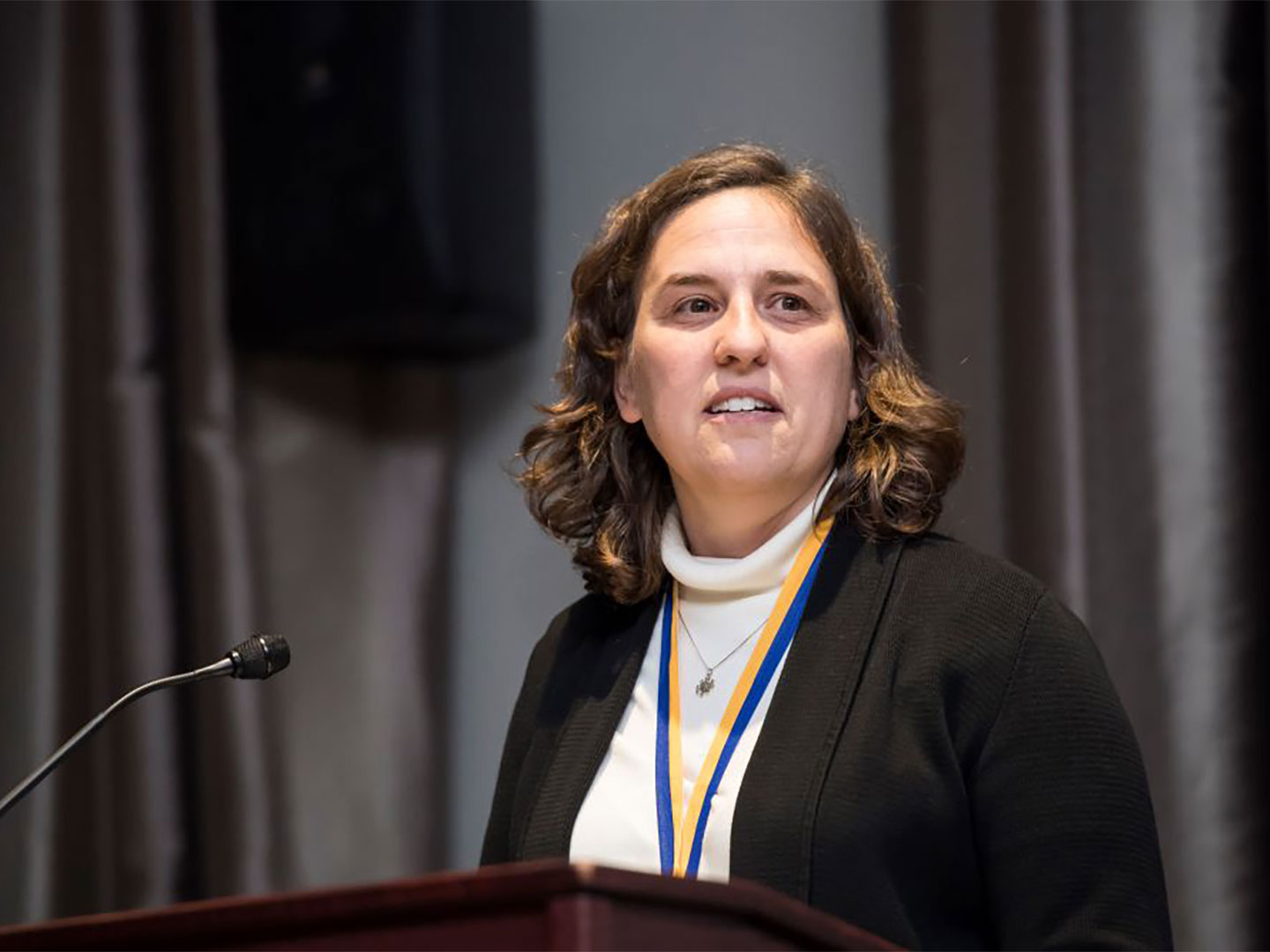 Wendi Heinzelman standing at podium