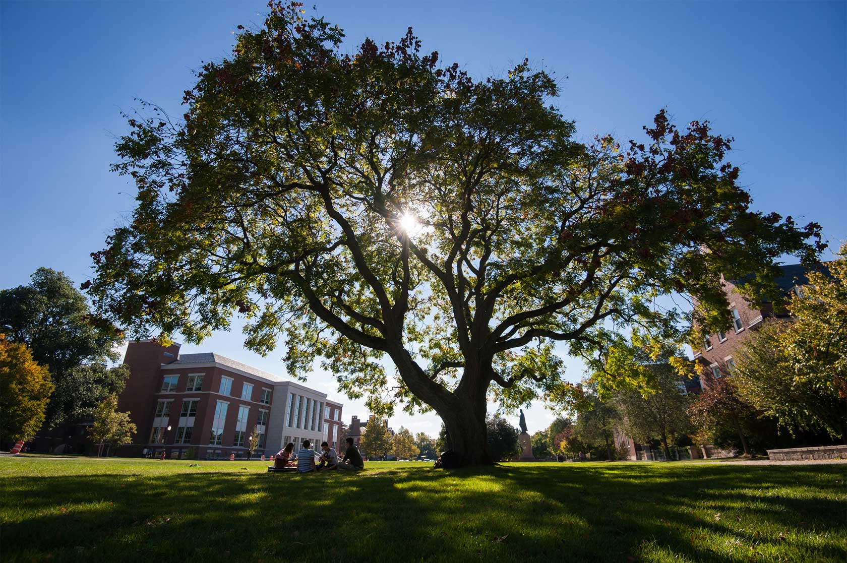 large tree with green leaves seen with the sun peeking through, students sitting underneath on the grass, campus buildings in the background