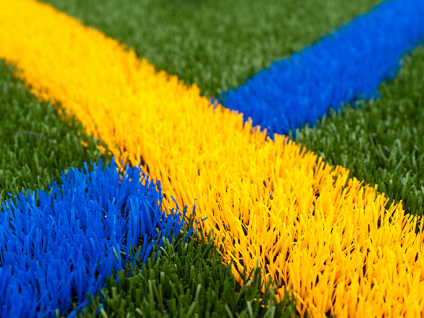 green grass with UR colors yellow and blue lines criss crossing